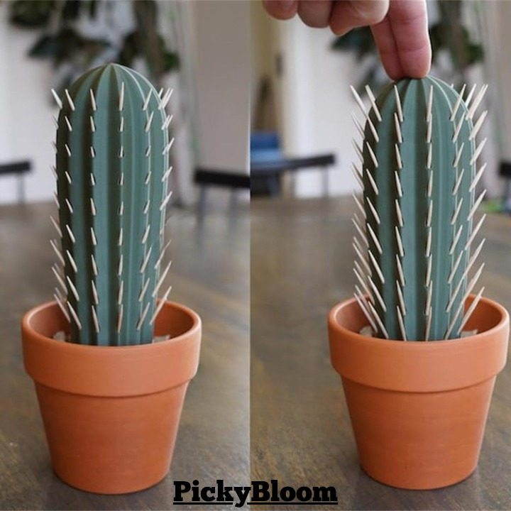 PickyBloom – Ultimata tandpetarhållaren